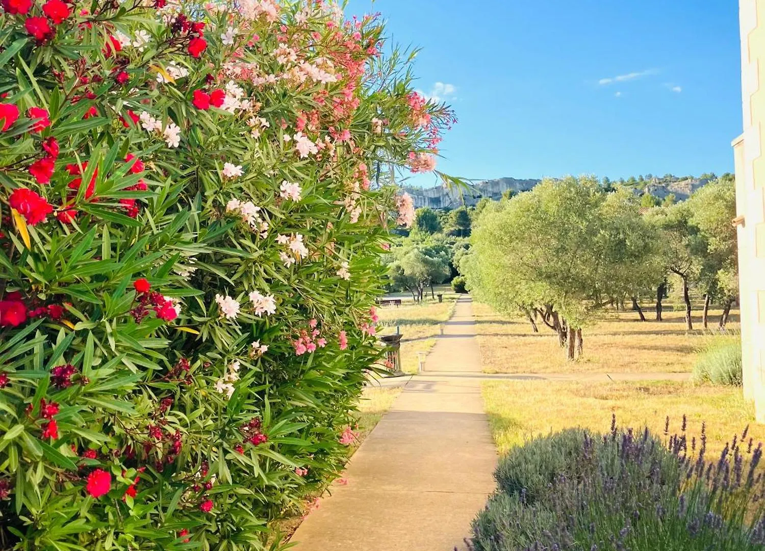 Appartement Vue Magnifique Sur Les Alpilles, Residence Avec Piscine Paradou